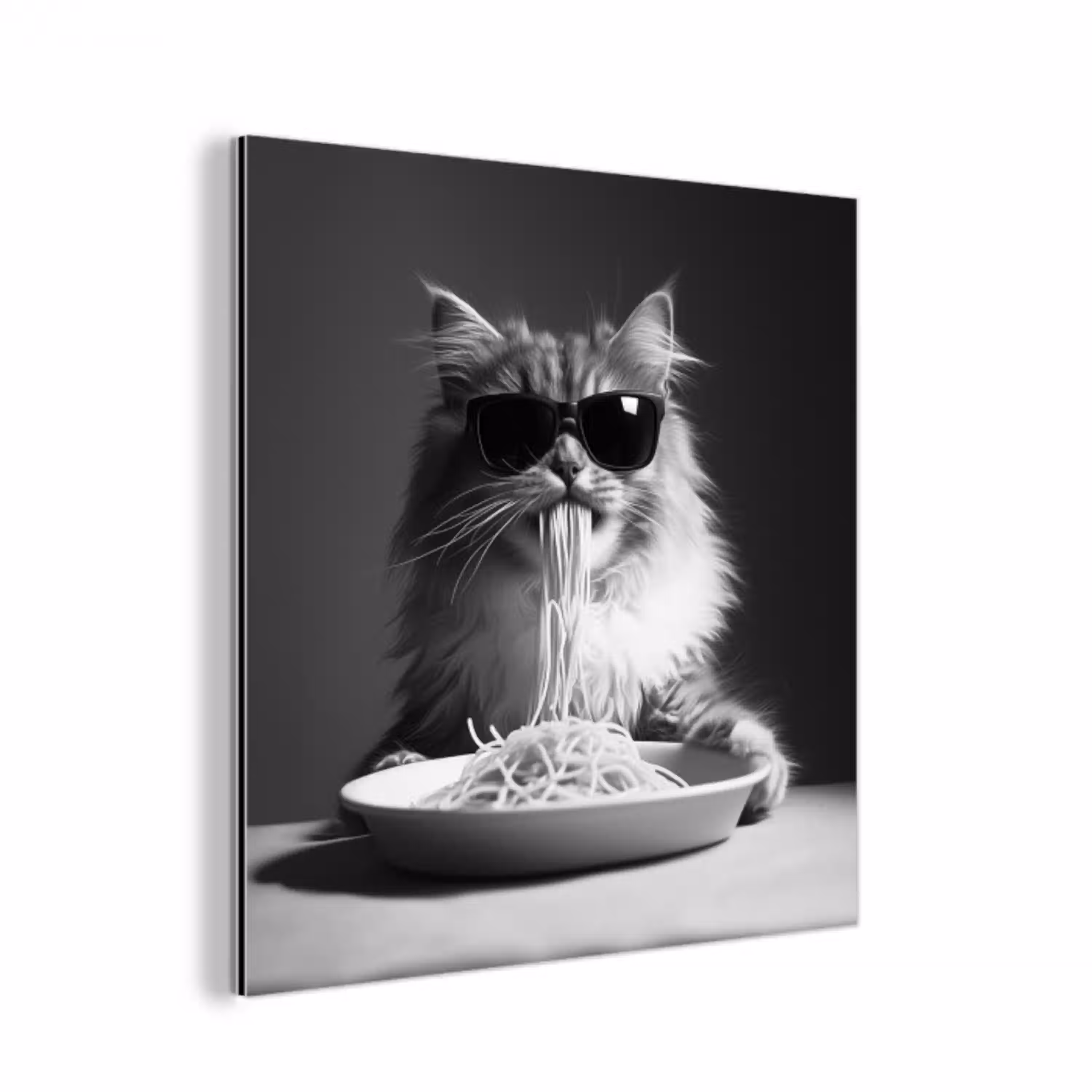 Langharige kat - Zonnebril - Spaghetti - Humor - Zwart - wit aluminium wit klein -3d