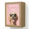 Zonnebril - Hartjes - Hond - Valentijn Light Box met kabel (Wandlamp) klein -3d