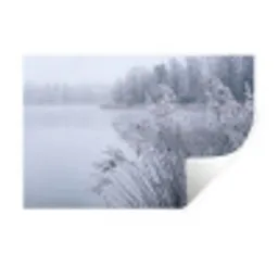 Riet - Bevroren - Winter - Natuur Muursticker klein -3d