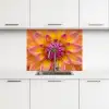 Dahlia - Bloem - Oranje keuken achterwand 2 middel -3d