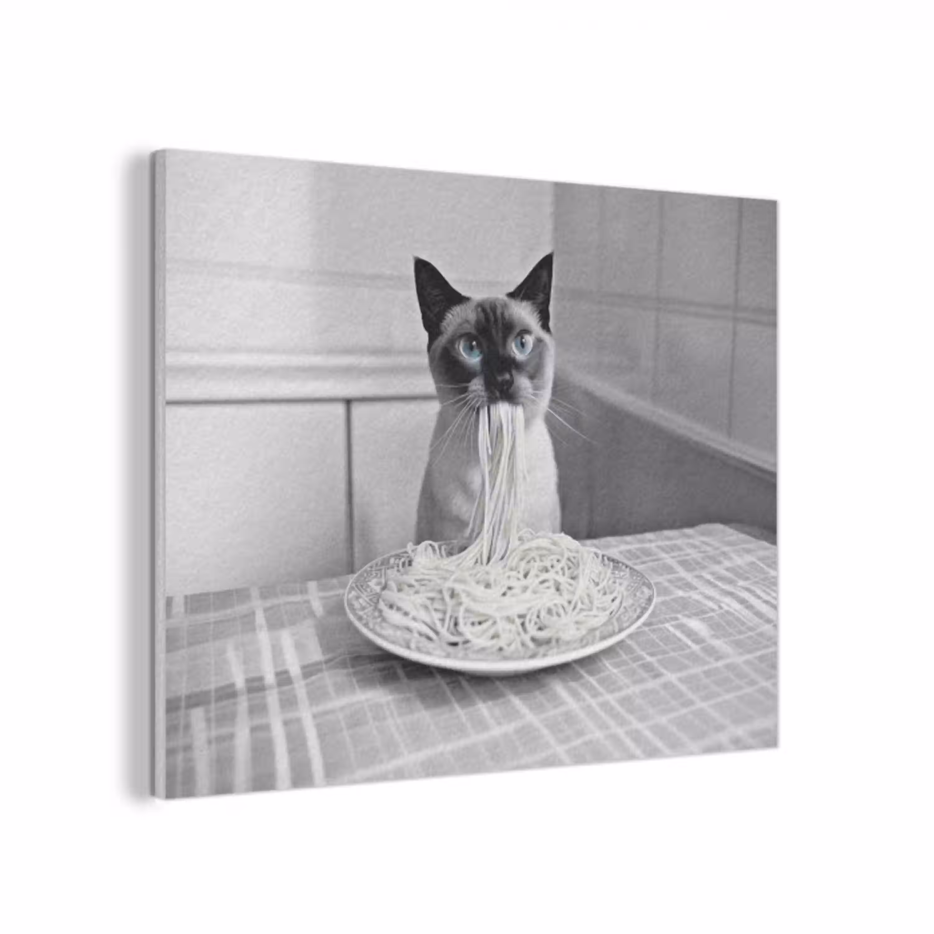 Kat - Siamees - Zwart Wit - Schattig - Dieren PET vilt klein -3d