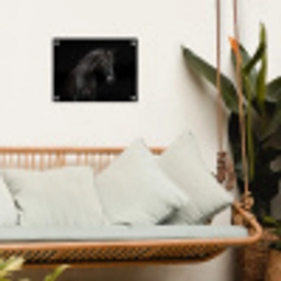 Elegant zwart paard in het donker tuinposter los doek klein -sfeer7