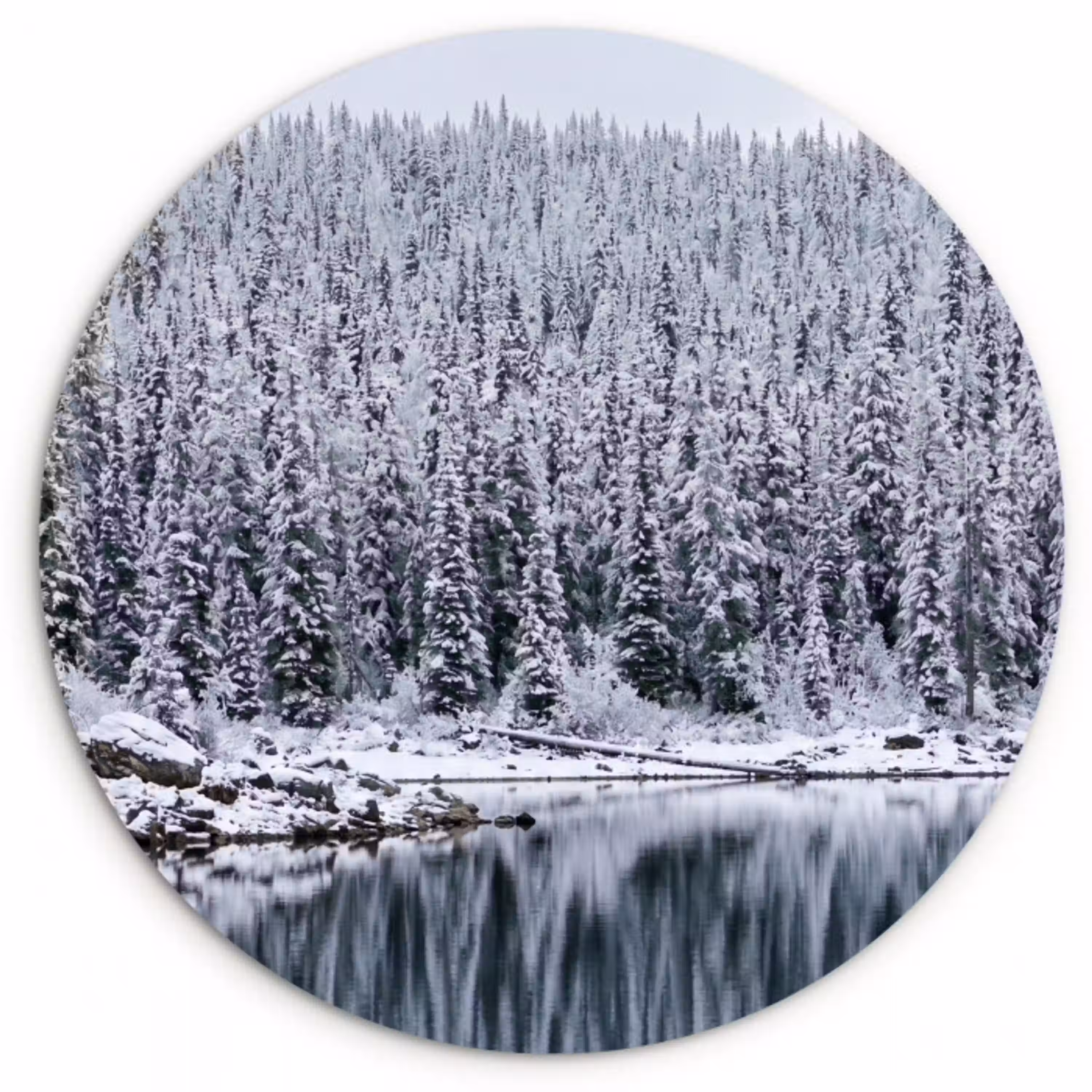 Bos - Reflectie - Meer - Winter - Serene Wandcirkel kunststof plaat 5mm dik klein -3d