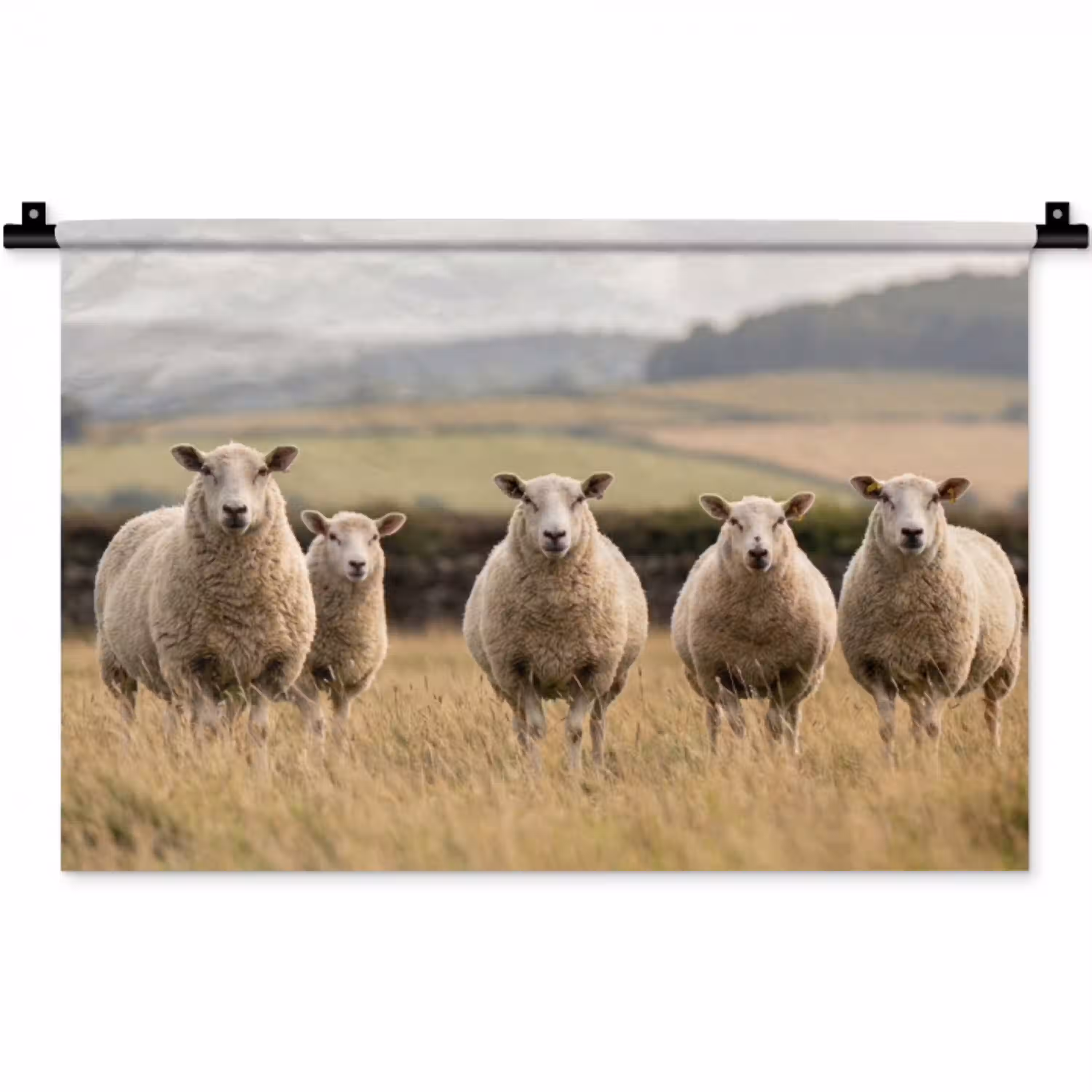 Schapen - Weidenlandschap - Heuvels Wandkleed katoen klein -zz3d