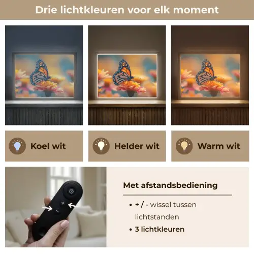 Vlinder - Dieren - Kleurrijk - Natuur - Bloemen Light Box met batterij (Wandlamp) middel -USP_lichtkleurNL