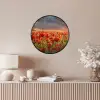 Zonsondergang - Klaprozen - Rood - Bloemen - Veld - Natuur Fotolijst rond zonder passe partout klein -sfeer3