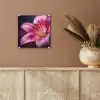 Roze - lelie - Dauwdruppels plexiglas 5mm klein -sfeer5