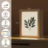 Ovaal - Olijfgroen - Simpel Light Box met kabel (Tafellamp) klein -USP_NL