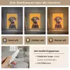 Hond - Oranje - Roos - Valentijn Light Box met kabel (Tafellamp) klein -USP_lichtkleurNL