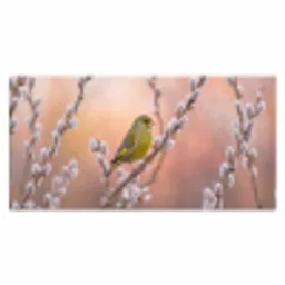 Groenling - Katjes - Lente - Natuur - Zacht Muismat XXL klein -3d_leeg