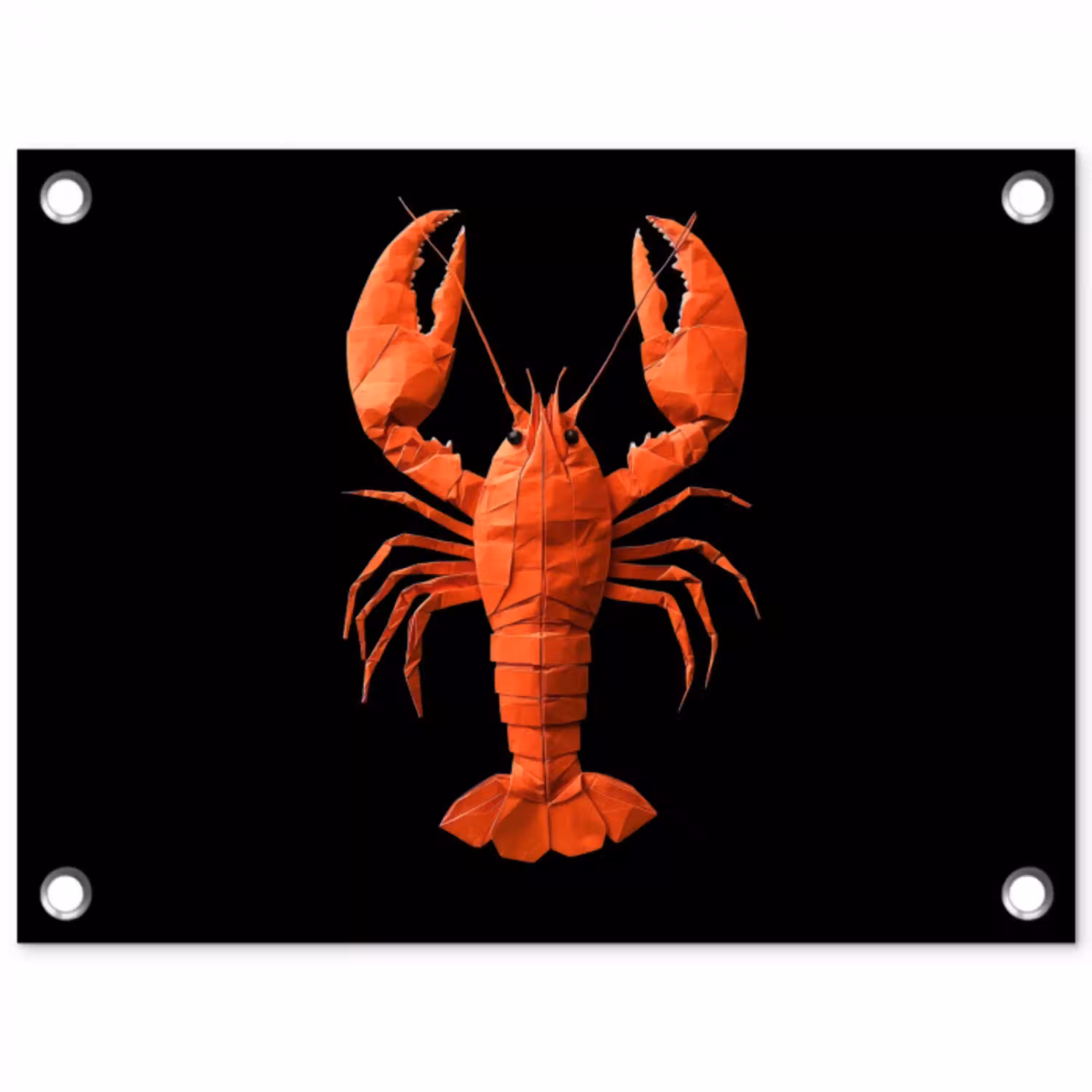 Kreeft - Papier - Origami papier - Rood tuinposter los doek klein -3d