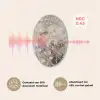 Amandelbloesem - Kunst - Van Gogh - Beige - Abstract Akoestische PET Vilt - Rond klein -USP_NL