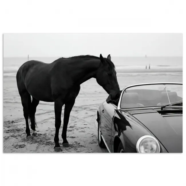 Poster - Paard - Auto - Zwart - Wit