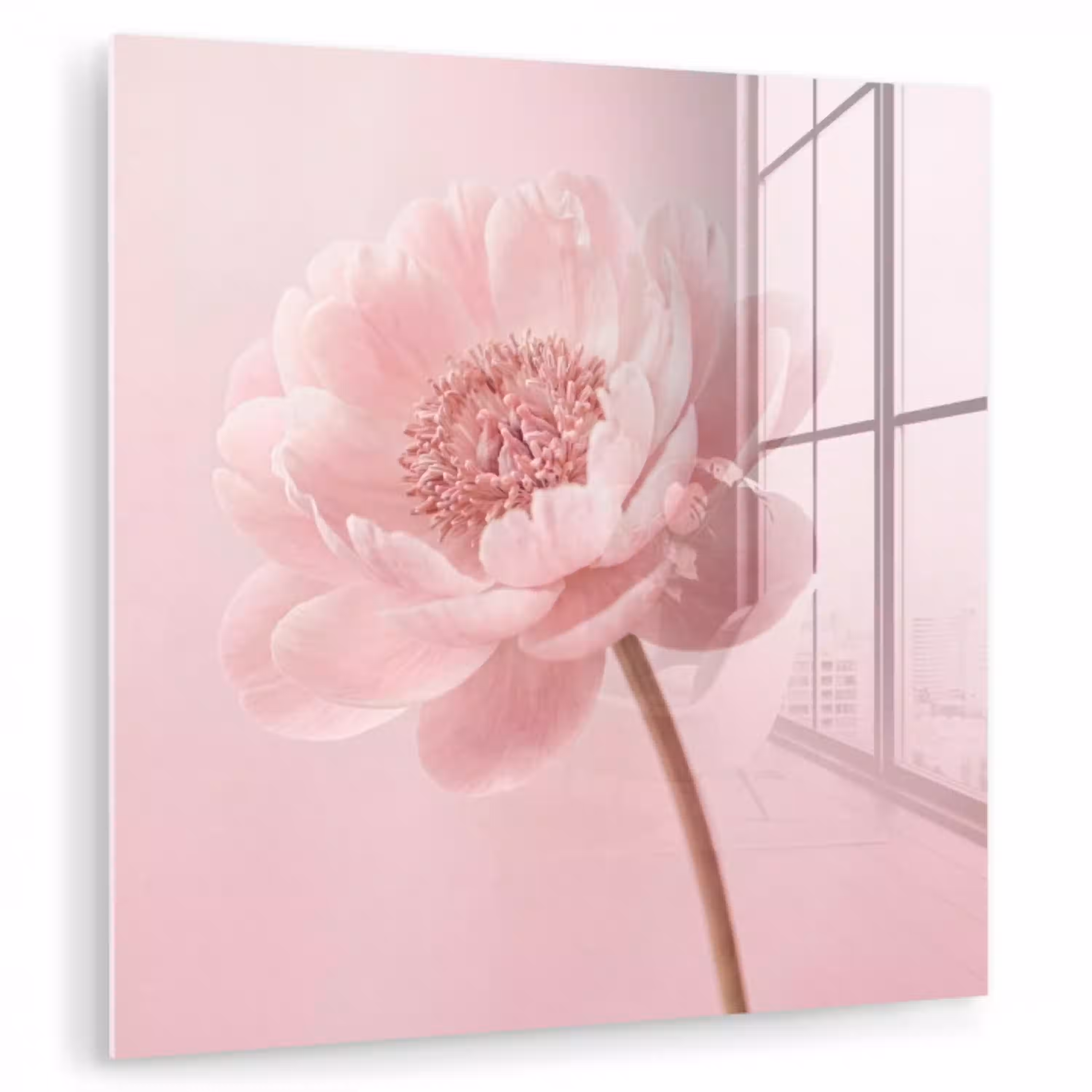 Bloem - Pioenroos - Roze plexiglas 5mm klein -zzzproduct_nieuw