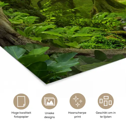 Jungle - Groen - Natuur - Tropisch - Planten poster papier klein -closeup_NL