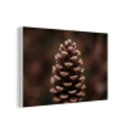 Dennenappel - Bos - Herfst - Bruin - Sfeervol forex 5mm xxl -3d
