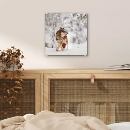 Wolf - Winter - Sneeuw - Natuur - Dieren plexiglas 5mm klein -sfeer4