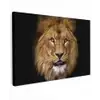 Leeuw - Portret - Zwart - Dieren Tuinposter op houten frame 2 cm dik klein -3d