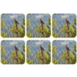 Uil - Oehoe - Bomen - Natuur onderzetter kurk middel -zkaufland3dotto