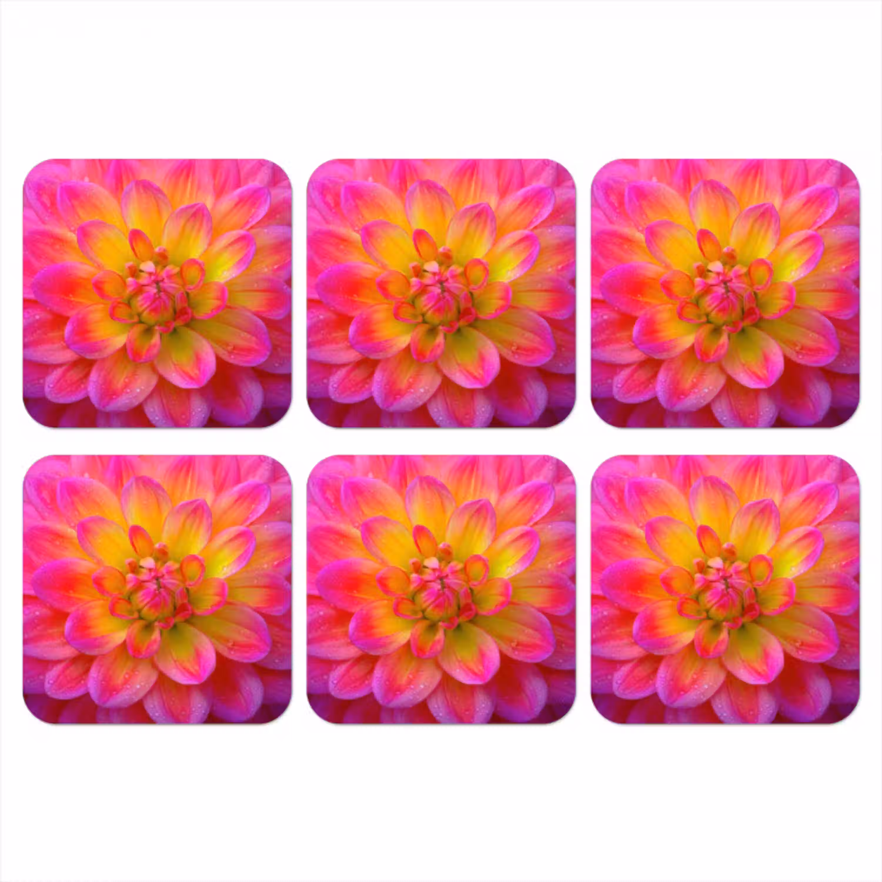 Roze - Dahlia - Kleurrijk onderzetter kurk middel -3d