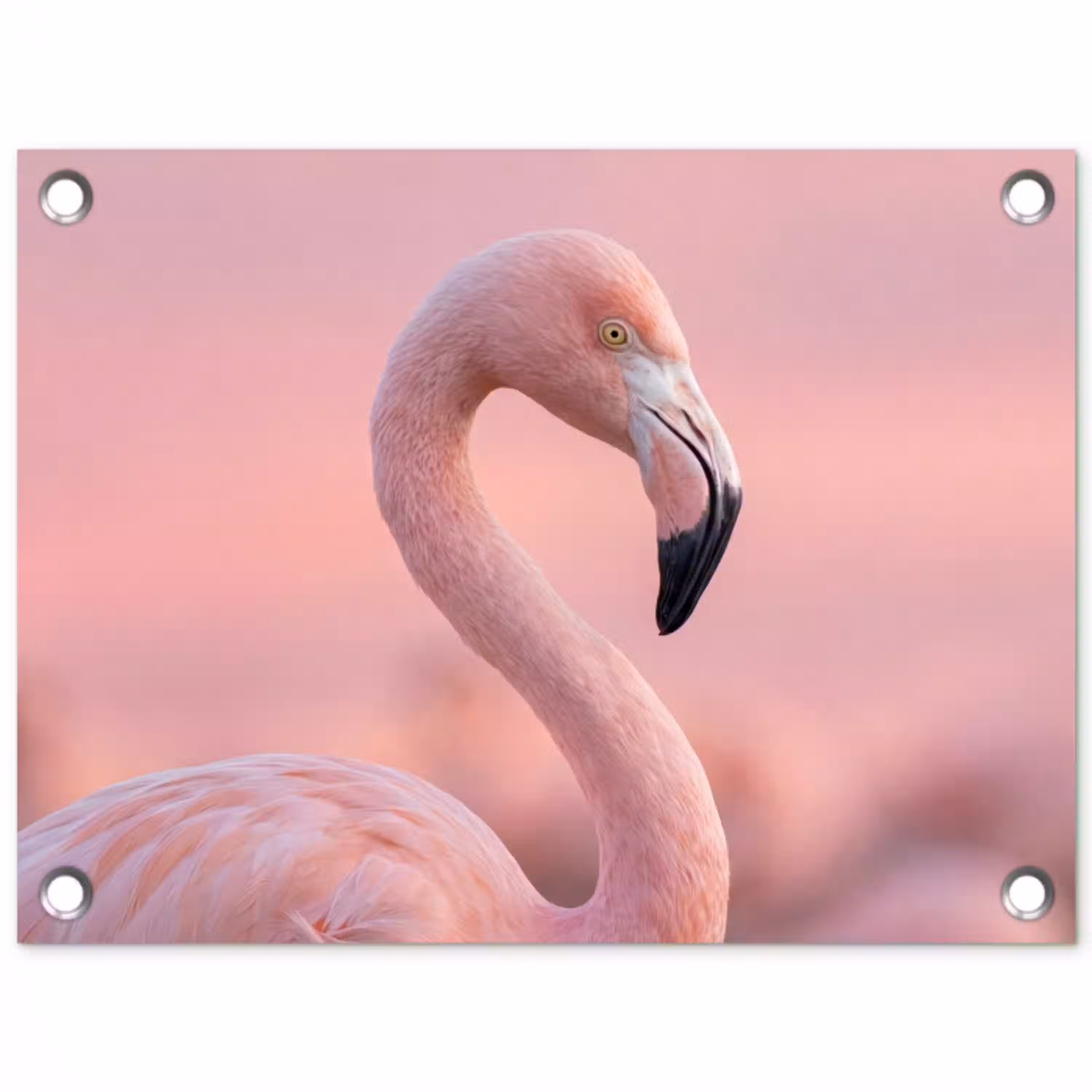 Flamingo - Portret - Roze tuinposter los doek klein -3d