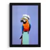 Papegaai - Koksmuts - Vogel - Leuk fotolijst zwart zonder passe partout klein -3d