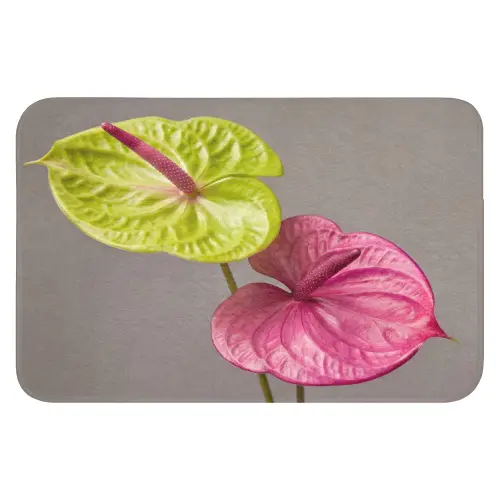 Planten - Anthurium - Groen - Roze WCmat klein -3d