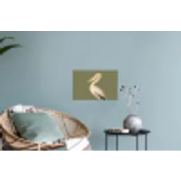 Pelikaan - Wit - Vogel - Klassiek - Natuur Muursticker klein -plant