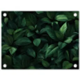 Bladeren - Ovaal - Groen - Nerven tuinposter los doek klein -3d