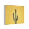 Cactus - Groen - Minimalistisch PET vilt klein -3d