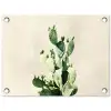 Cactus - Groen - Minimalistisch tuinposter los doek klein -3d