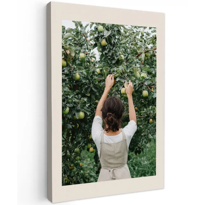 Boom - Appels - Plukken - Natuur canvas 2cm klein -z3d