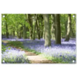 Lente bos met blauwe bloemen tuinposter los doek klein -3d