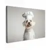 Hond - Wit - Kok Tuinposter op houten frame 2 cm dik klein -3d