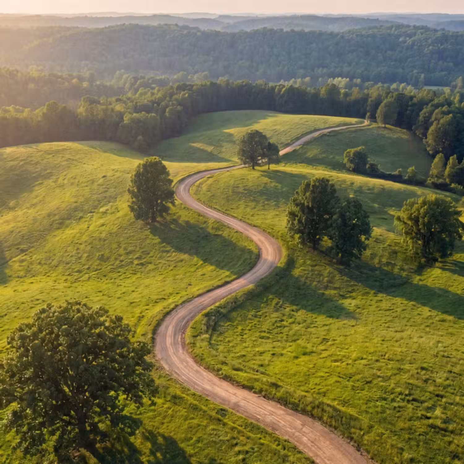 Tapete - Straße - Wiese - Natur - Grün