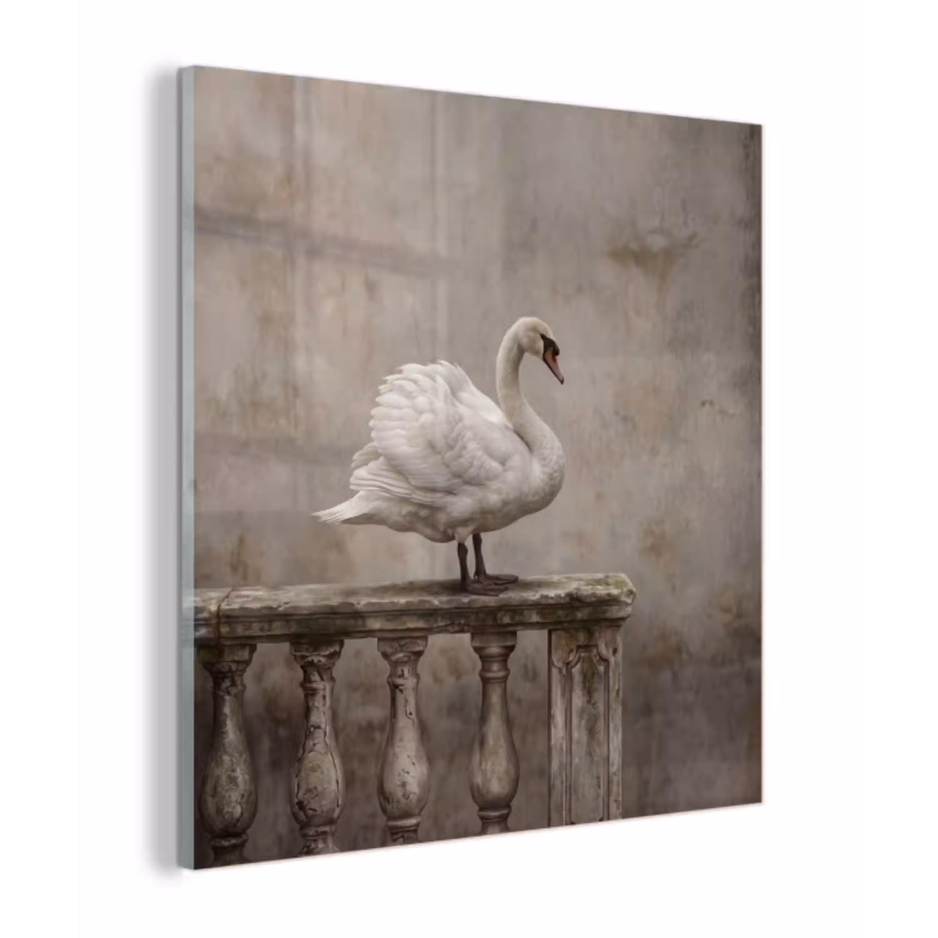 Zwaan - Elegant - Dieren - Wit plexiglas 5mm klein -z3d