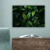 Bladeren - Regendruppels - Licht - Groen canvas 2cm klein -sfeer4
