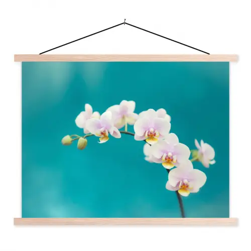 Orchidee - Bloemen - Plant - Wit - Paars textielposter latten blank klein -3d