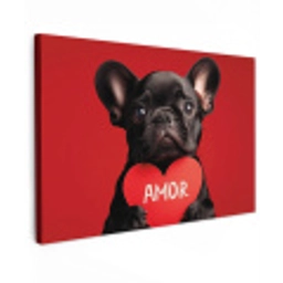 Amor - Hond  - Hartje - Rood canvas 2cm klein -z3d