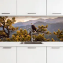 Zeearend - Boom - Bergen - Groen keuken achterwand 2 middel -3d