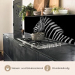 Zebra - Dier - Zwart keuken achterwand 2 middel -usp_DE