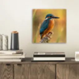 IJsvogel - Tak - Water - Kleurrijk - Levendig aluminium wit klein -sfeer1