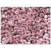 Bloemen - Rozen - Natuur - Roze - Botanisch tuinposter los doek klein -3d