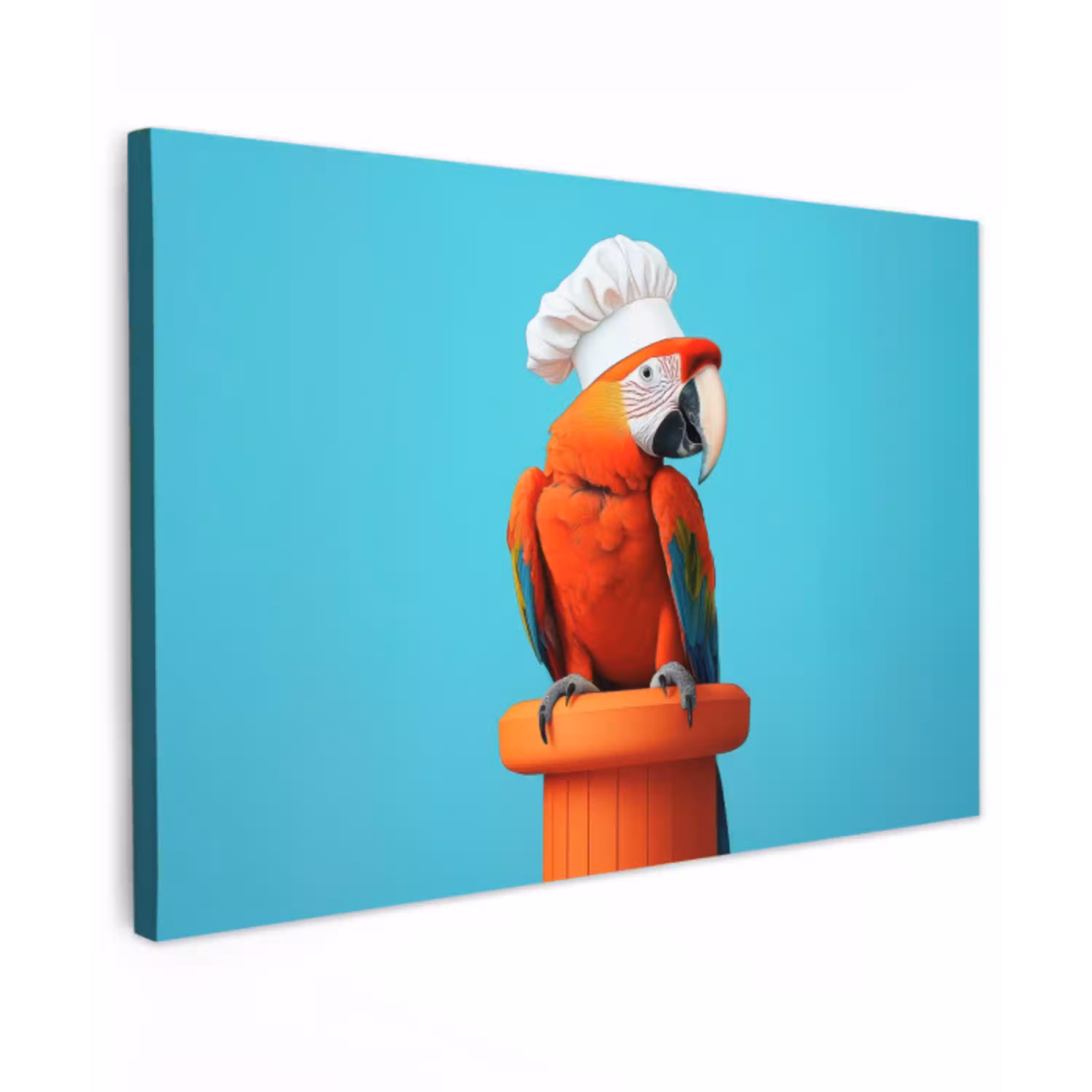 Ara - Koksmuts - Sokkel - Grappig Tuinposter op houten frame 2 cm dik klein -3d
