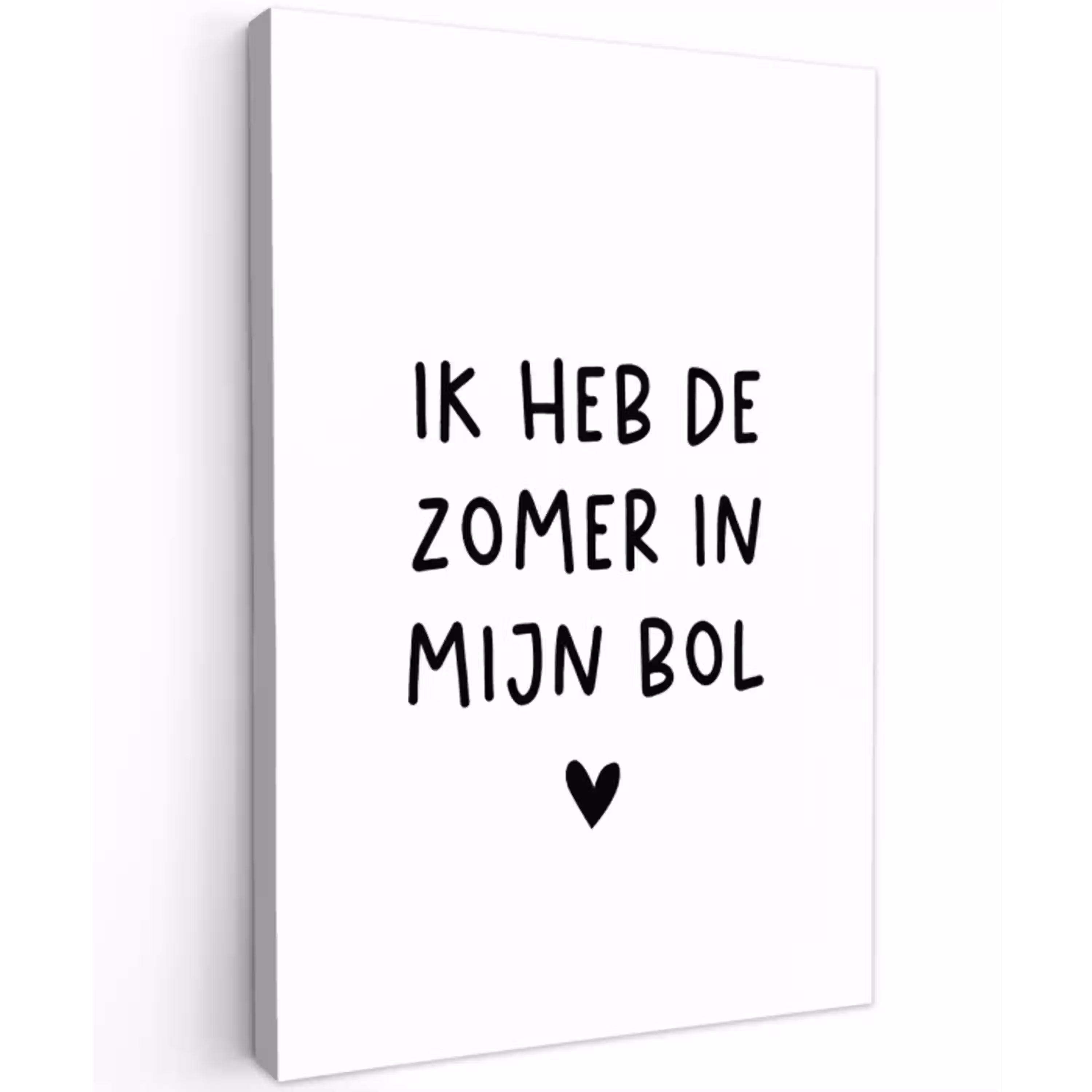 Quotes - Spreuken - André Hazes - Ik heb de zomer in mijn bol Tuinposter op houten frame 2 cm dik klein -3d