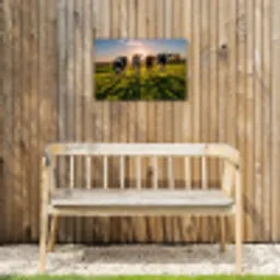 Koeien in de ochtendzon Tuinposter op houten frame 2 cm dik klein -sfeer4