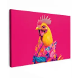 Haan - Kleurrijk - Kimono - Roze canvas 2cm klein -z3d