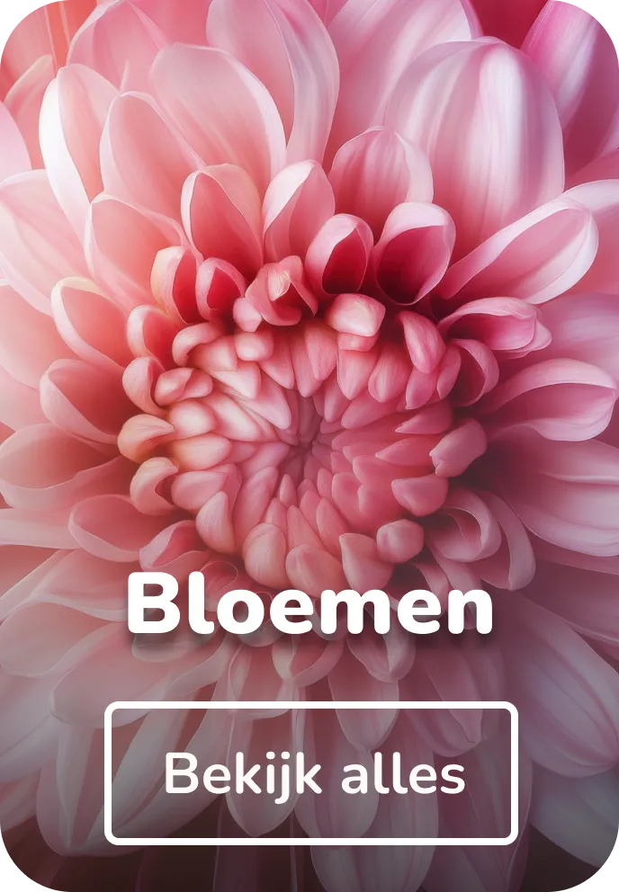 Muurcirkels bloemen