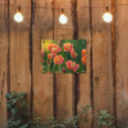 Bloemenveld - Zonnestralen - Oranje tuinposter los doek klein -sfeer1