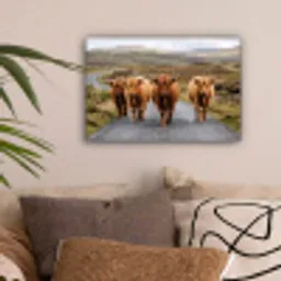 Schotse Hooglanders - Weg - Landschap - Kudde canvas 2cm klein -sfeer1